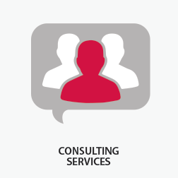 In-House Solutions Professional Services - Consulting