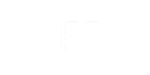 IMS Software white logo